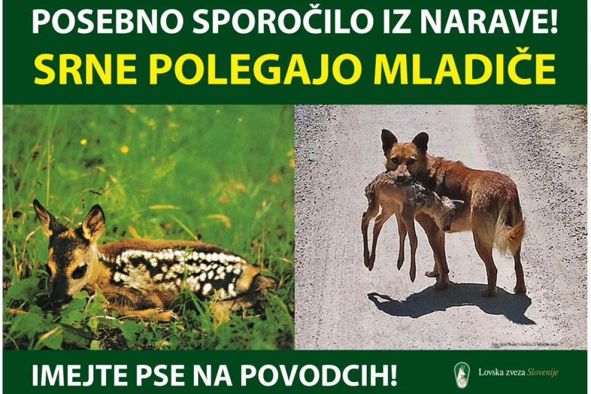 Posebno sporočilo iz narave